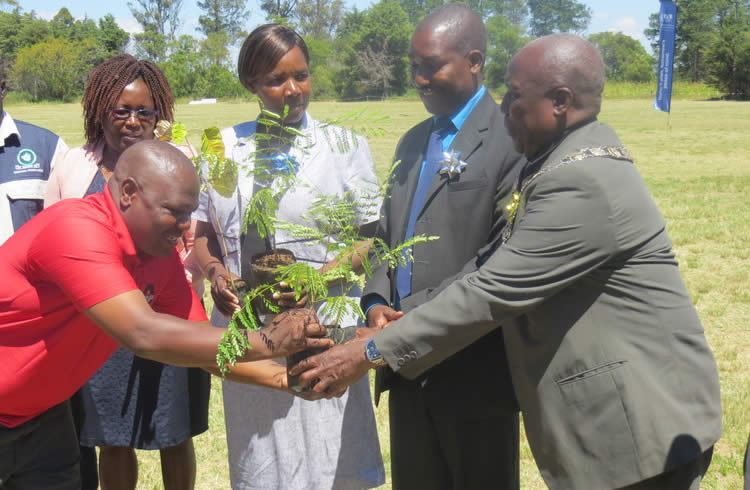 ‘Kutemwa kwemiti kwakoka nzara’ | Kwayedza